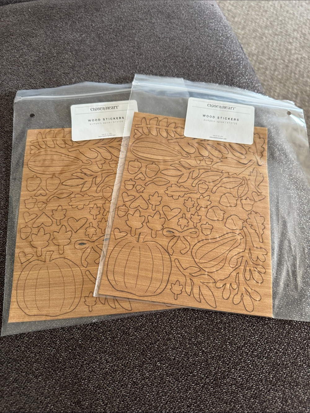 Close to My Heart Brown Wood Sticker Sheets - Fall Shapes